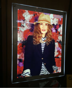 Crystal LED Light Displays